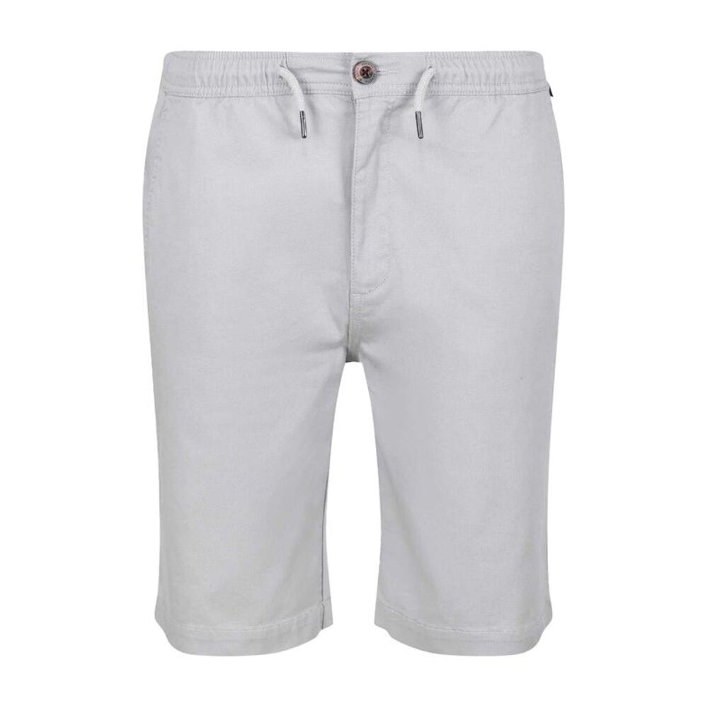 Regatta Mens Albie Chino Shorts / Silver Grey